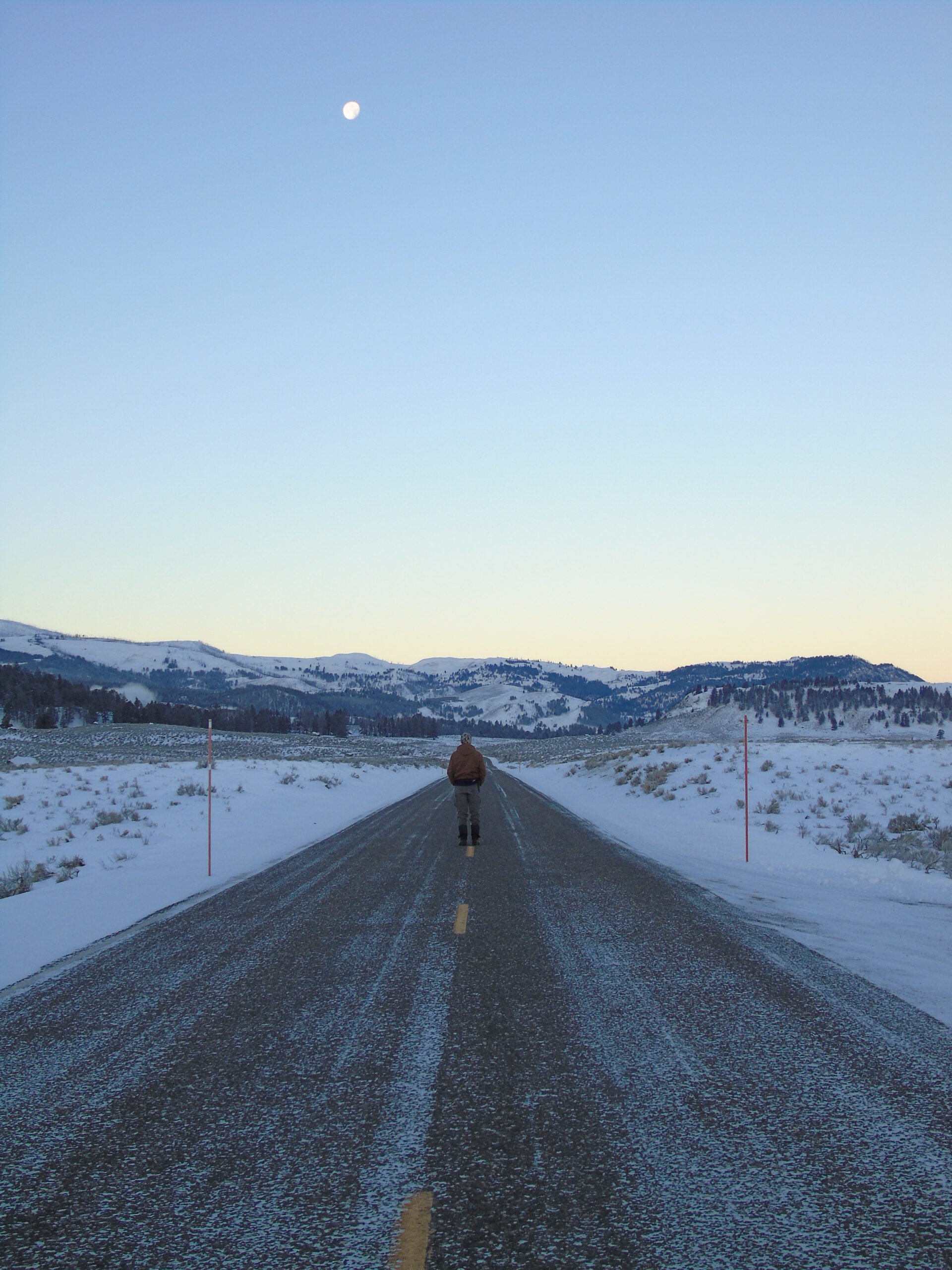 Five Amazing Reasons to Visit Yellowstone in Winter - Nature Tech Family